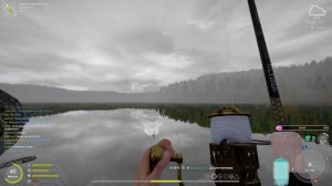 ГОЛЕЦ ДРЯГИНА - Точка клёва с шансом на трофей ? РР4