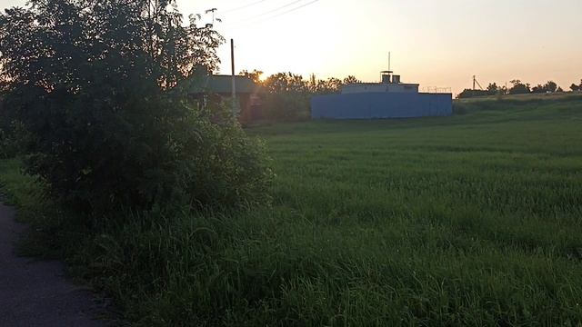 ЗОЖ