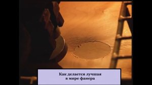 Как делается лучшая в мире фанера