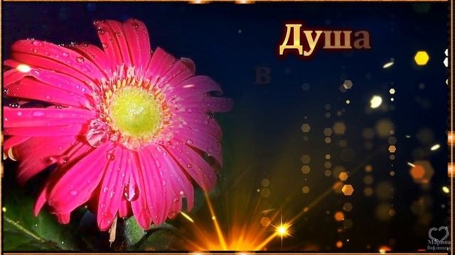 СПОКОЙНОЙ НОЧИ