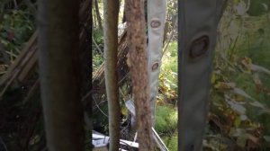 Тест на пробитие ТТ Лидер Часть 3