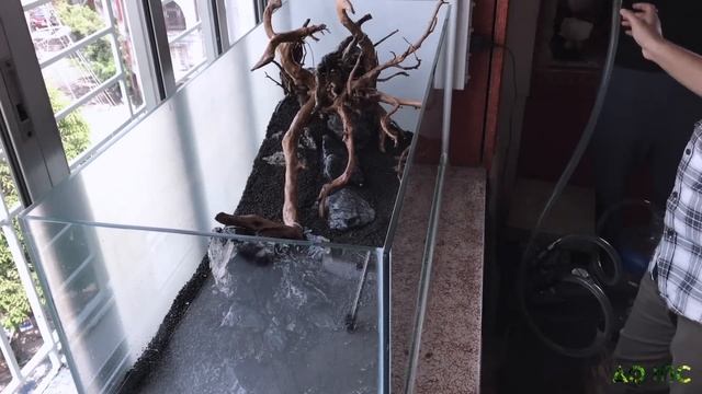 Step By Step Aquascaping Tutorial (200L)