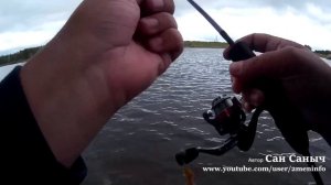 Ларва от Фанатик, рыбалка на окуня