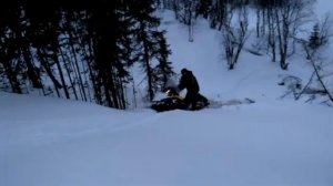 Что может снегоход BRP Skandik 550f wt