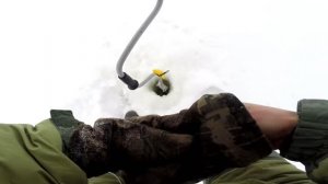 Рыбалка в Удмуртии, день 2