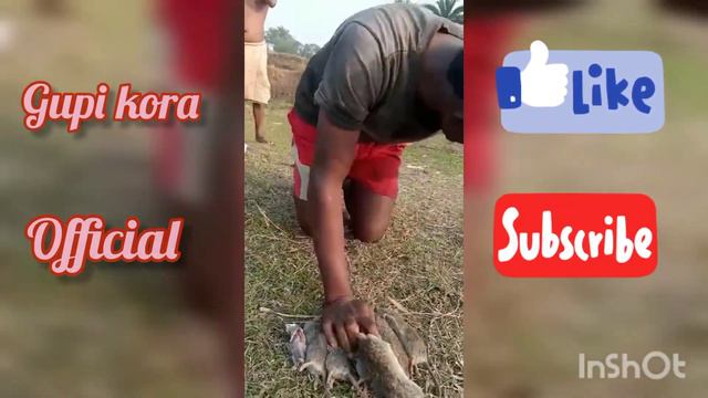 gudu ko goc ket kutina!||santhali short vlogs video|| gupi kora official смотреть онлайн