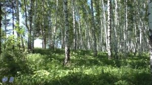 Деревня моя родная. Слова Фёдор Вакуленко, муз и исп. Николай Жуков