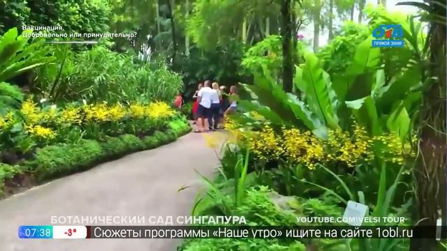 Путешествия в квартире - Сингапур смотреть онлайн