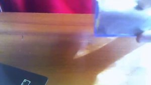 Как сделать камеру Обскура#2