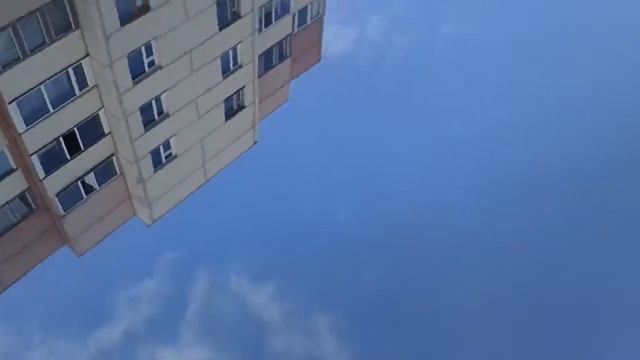 Идём гулять с друганами смотреть онлайн