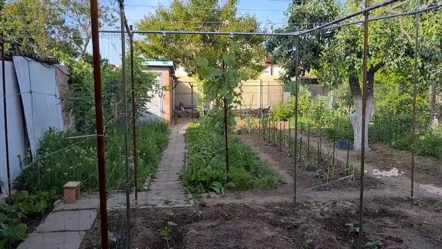 Ейск?Нужное приобретение. Огород. Прополка. Открываем пляжный сезон?