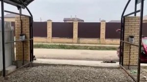 Рычажная автоматика NICE HOPP | Мир Ворот