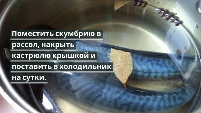 Малосольная скумбрия.Как засолить скумбрию.