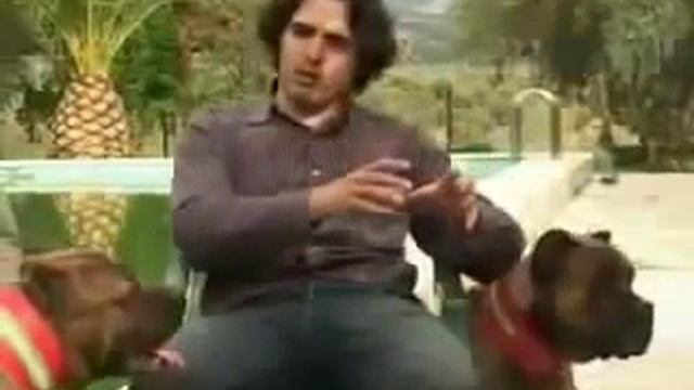 АЛАНСКАЯ СОБАКА смотреть онлайн