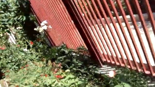 Заглянула осень в сад смотреть онлайн