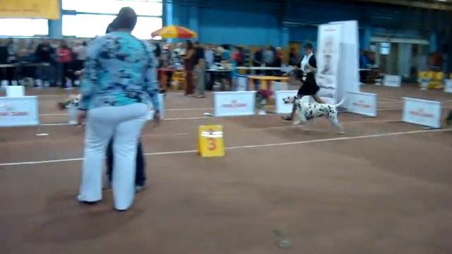 MOV08638.MPG смотреть онлайн