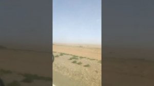 Астраханская область.... превращается в пустыню