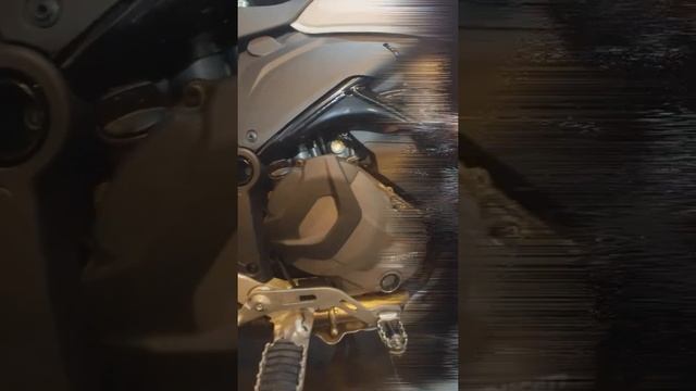 Ducati Desert X - What a Bike! #vlog смотреть онлайн