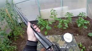 ИЖ-58 МА 16 калибра. Легендарная Советская двустволка.
