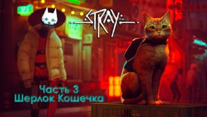 Stray. Часть 3. Шерлок Кошечка