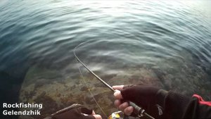 Rockfishing в Геленджике. Сарган, Ставрида, Ласкирь.