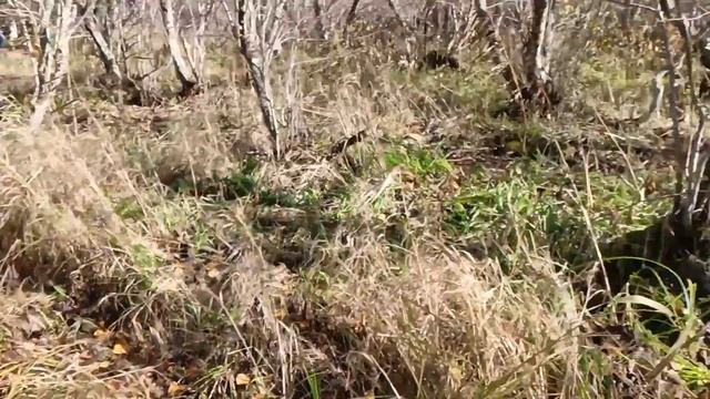 Офроад на УАЗах. Вернуться любой ценой (часть 1) смотреть онлайн