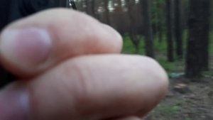 Тест дальности Baofeng T1 в лесу