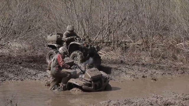 День пигвина часть 1 смотреть онлайн
