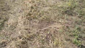 Высчитываем количество земли. Сотки, гиктары