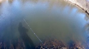 Grows Culture Orbit 110SP