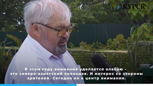 Курская Коренская ярмарка за несколько минут смотреть онлайн