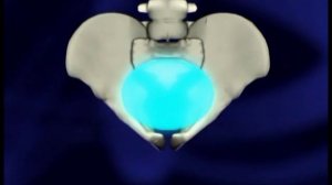 РОДОВЫЕ СХВАТКИ. Как отличить ложные от настоящих