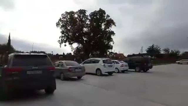 ? Пляж в Головинке в октябре. Тюльпановое дерево. смотреть онлайн