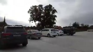 ? Пляж в Головинке в октябре. Тюльпановое дерево.