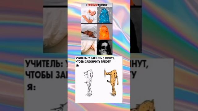 мем #20