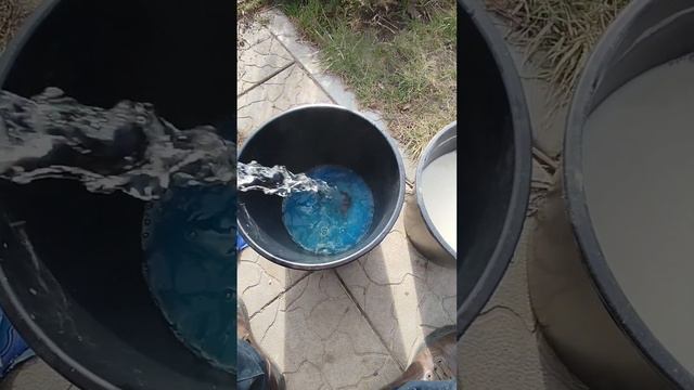 Как приготовить Бордосскую смесь??? смотреть онлайн