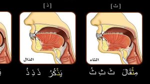 2 курс. 11 урок. Махрадж букв са, заль, зо‼️✅