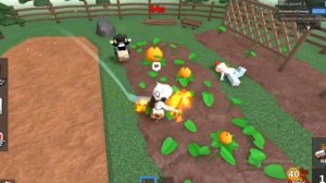 ?ОБНОВЛЕНИЕ КО ДНЮ БЛАГОДАРЕНИЯ В ММ2? ||mm2 update ||