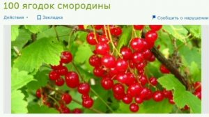 Семейно-историческая и генеалогическая работа