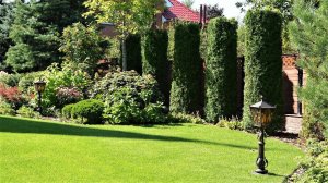 ?Красивый садовый участок Идеи для дизайна и декора / Garden design and decor ideas / A - Video