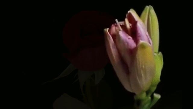 Хорошие люди! смотреть онлайн