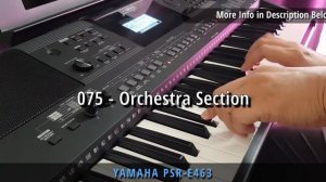 Yamaha PSR-E463 Battles Roland E-X30 | Which Keyboard Sounds Better? [Yamaha PSR-EW410]