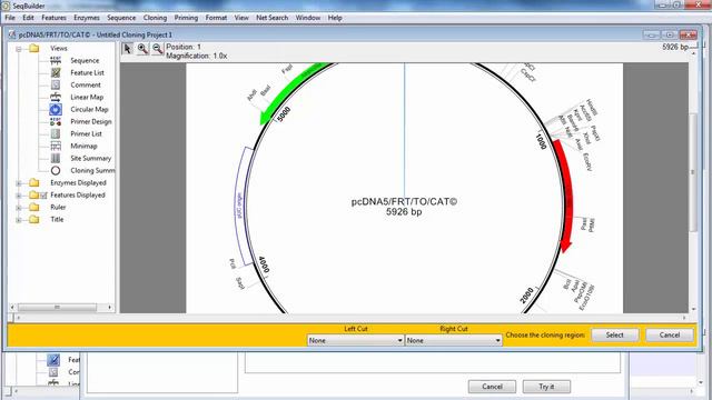 DNASTAR - Restriction Enzyme Cloning in SeqBuilder смотреть онлайн