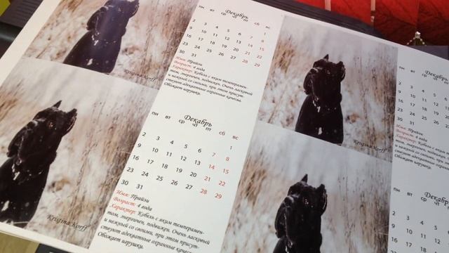 Печать календарей домиков смотреть онлайн