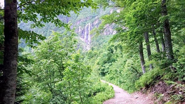 Сочи. Курорт Красная Поляна. Дорога к водопаду Поликаря. (19 июня 2023 г.)