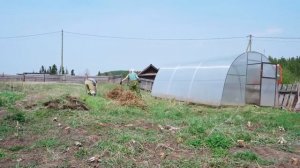 КУПИЛ 2 ДОМА В ДЕРЕВНЕ _ КАТЯ ПАШЕТ ЗЕМЛЮ НА ТРАКТОРЕ _ СВИНЬИ ПОДАЛИСЬ В БЕГА