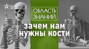 Как растут кости человека? Лекция биолога Егора Мусина