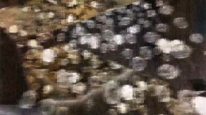 История возникновения бисера