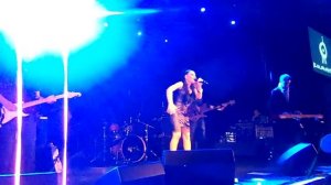 Ёлка- мне бы твои сны.