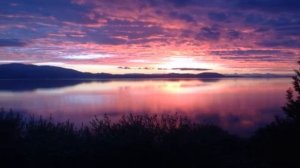 Афанасий Фет Я тебе ничего не скажу